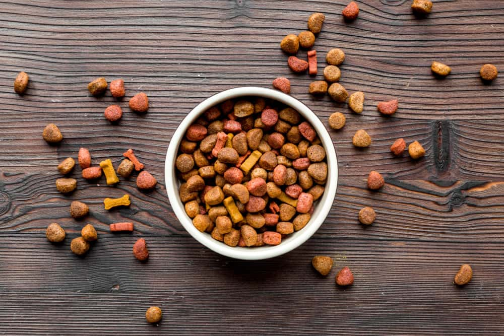 Popular types of dog food and tips to choose