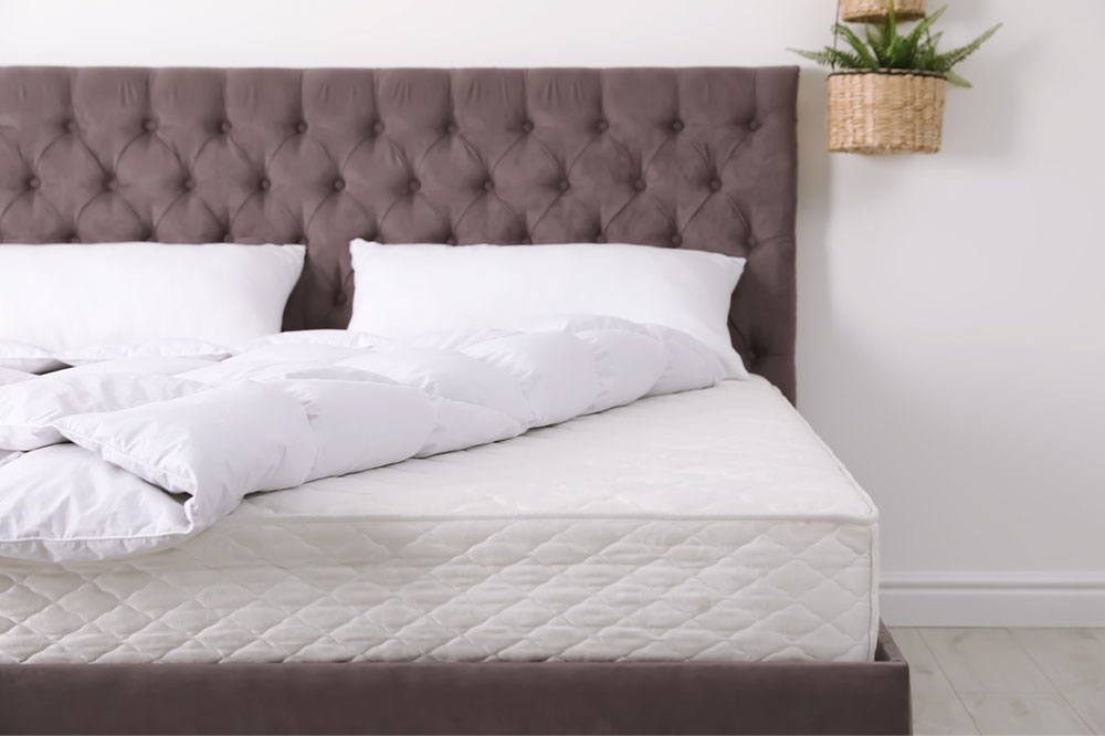 Top 5 Mattresses That Suit Every Type of Sleeper