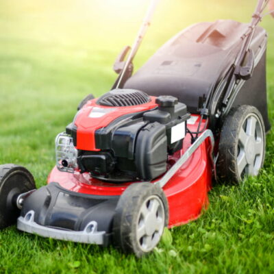 Top 6 lawn mowers to buy