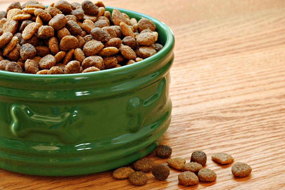 10 Dog Food Deals to Expect for Black Friday 2023