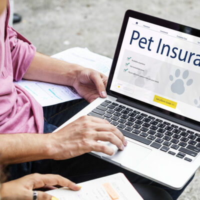 10 mistakes to avoid when buying pet insurance