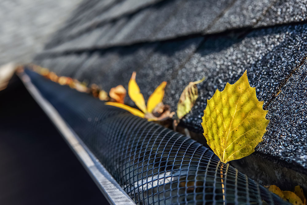 6 best types of gutter guards for home