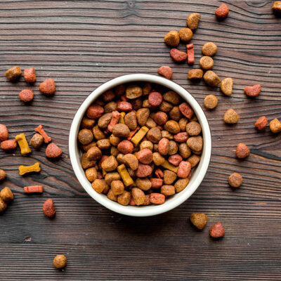 8 tips for buying the best dog foods